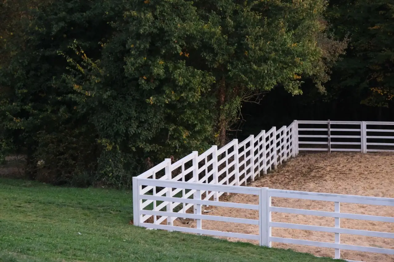 Fence Removal