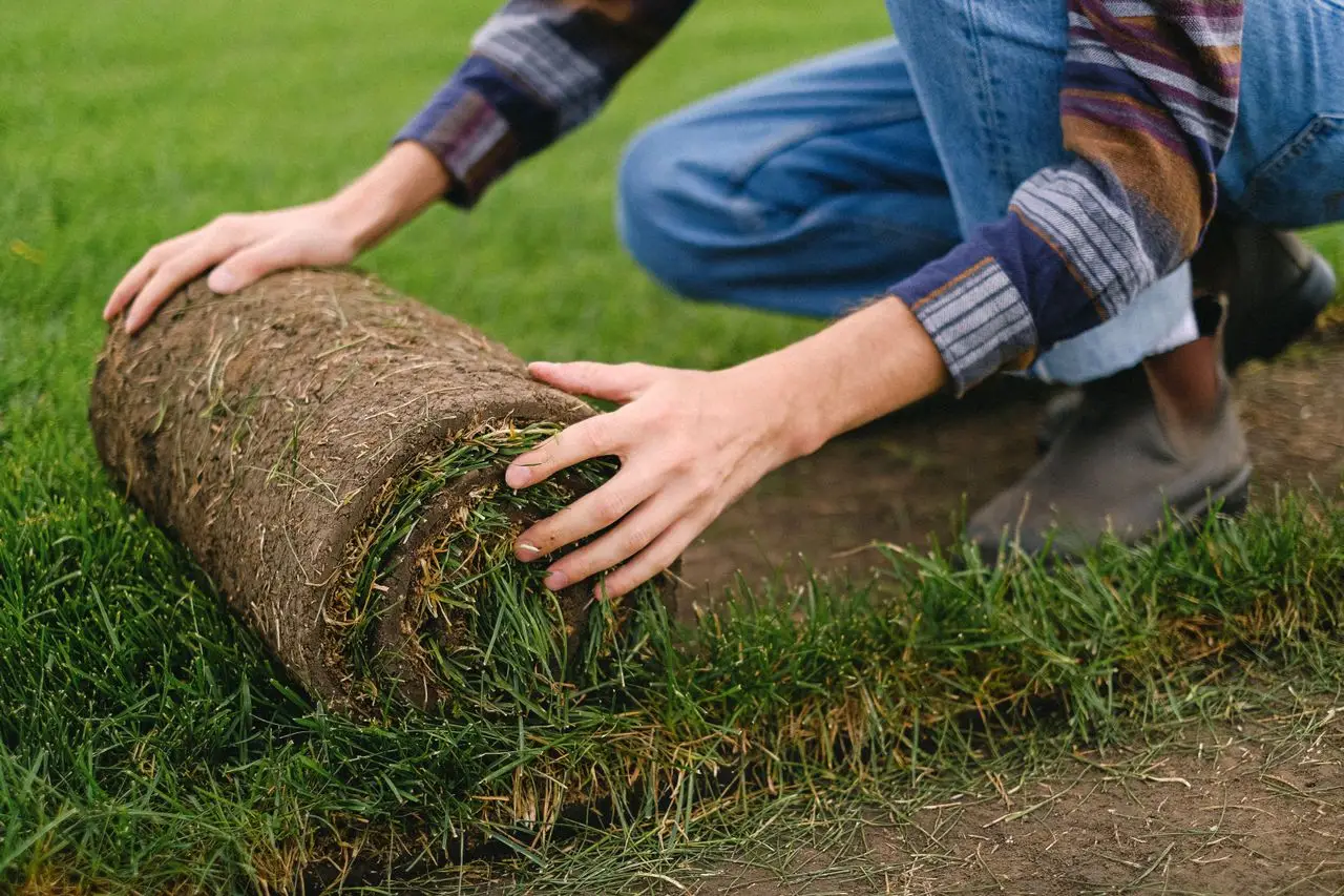 Grass Installation